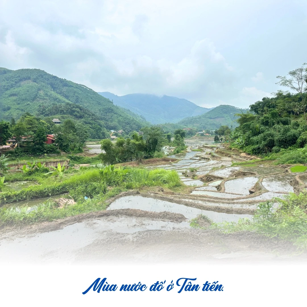 Mùa nước đổ ởTân tiến. - 1.jpeg