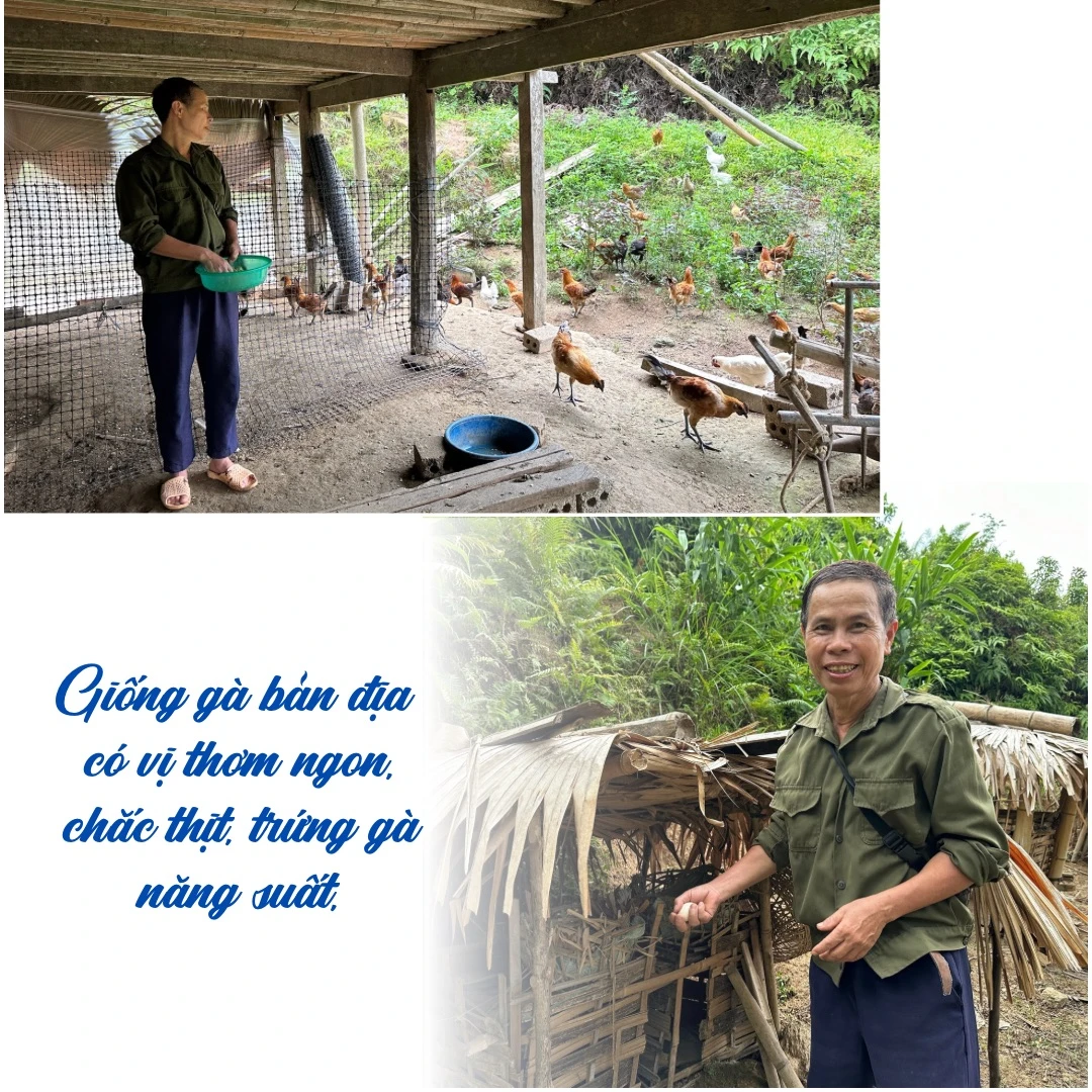 Mùa nước đổ ởTân tiến. - 8.jpeg