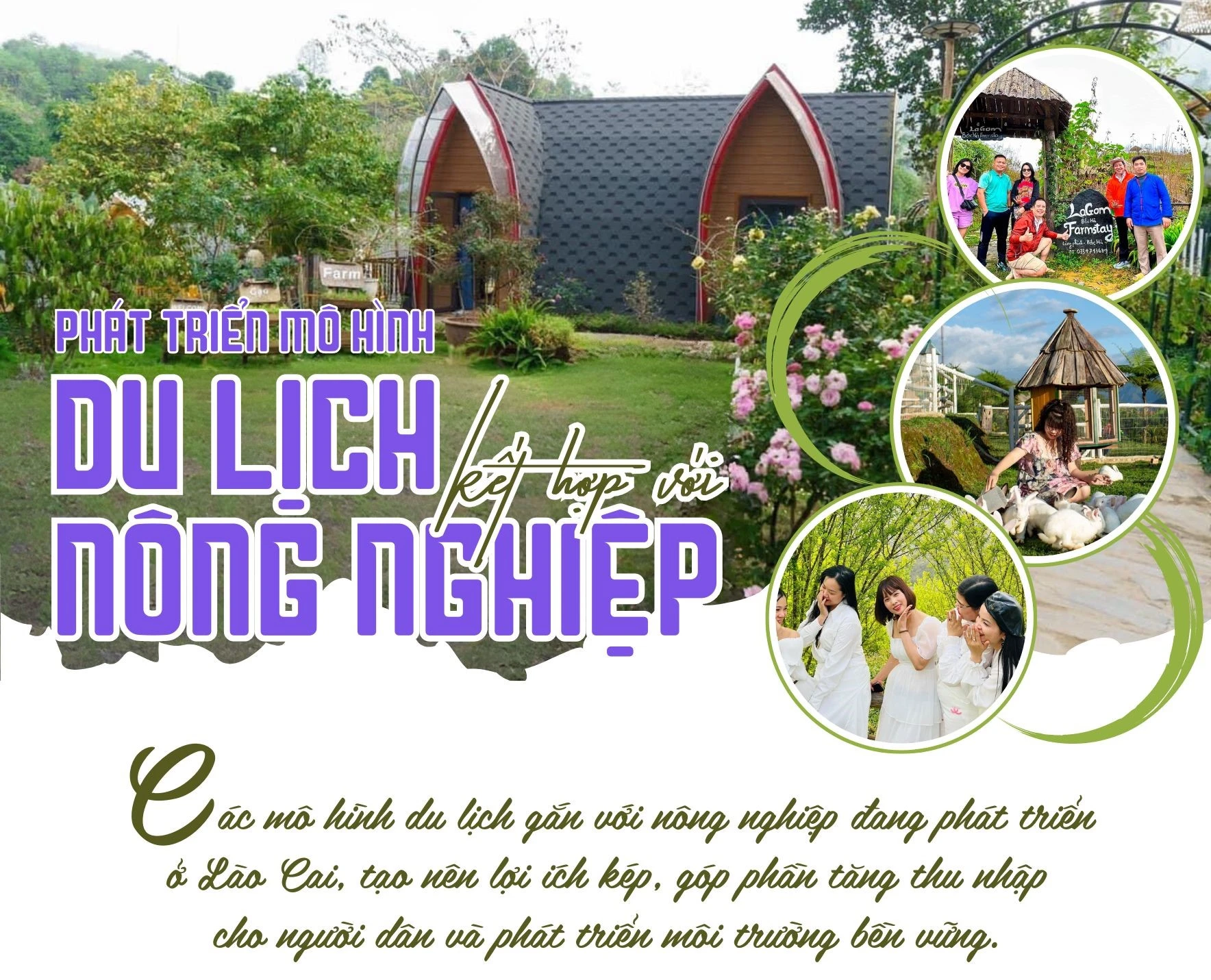 Các mô hình du lịch gắn với nông nghiệp đang phát triển ở Lào Cai, tạo nên lợi ích kép, góp phần tăng thu nhập cho người dân và phát triển môi trường bền vững..jpg