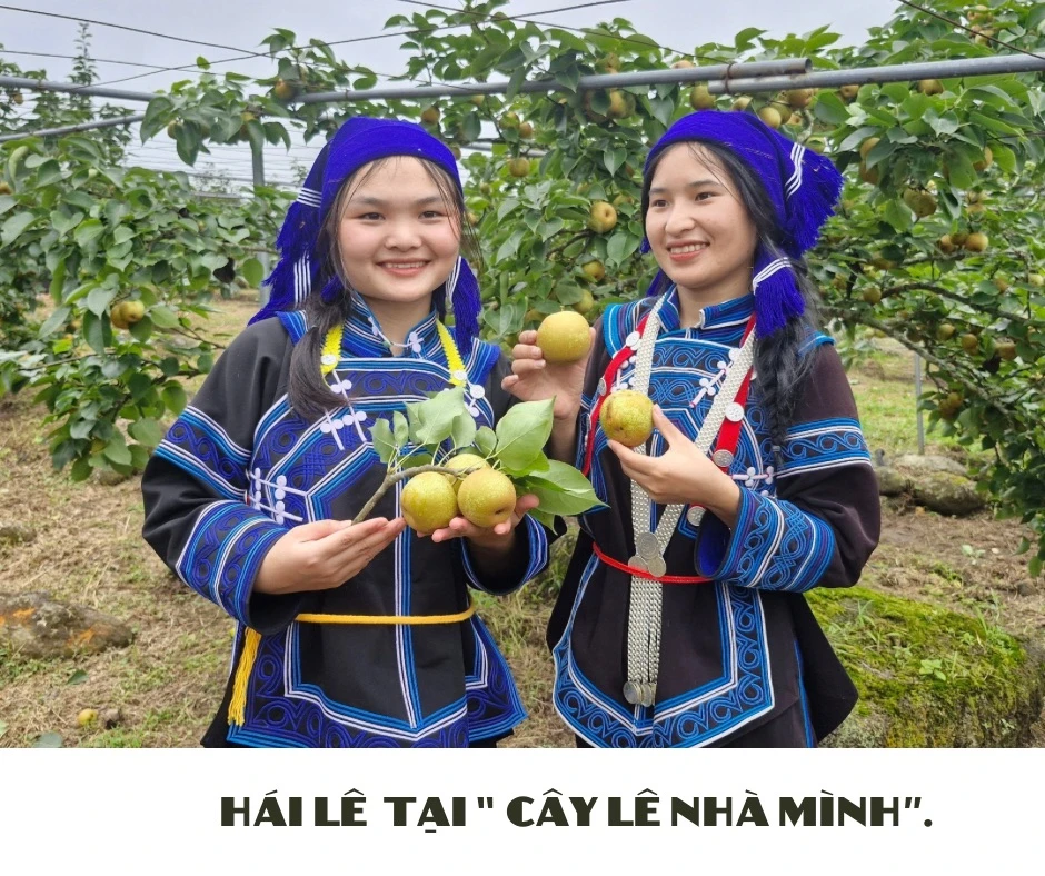 Lên Kin Chu Phìn - 8.jpeg