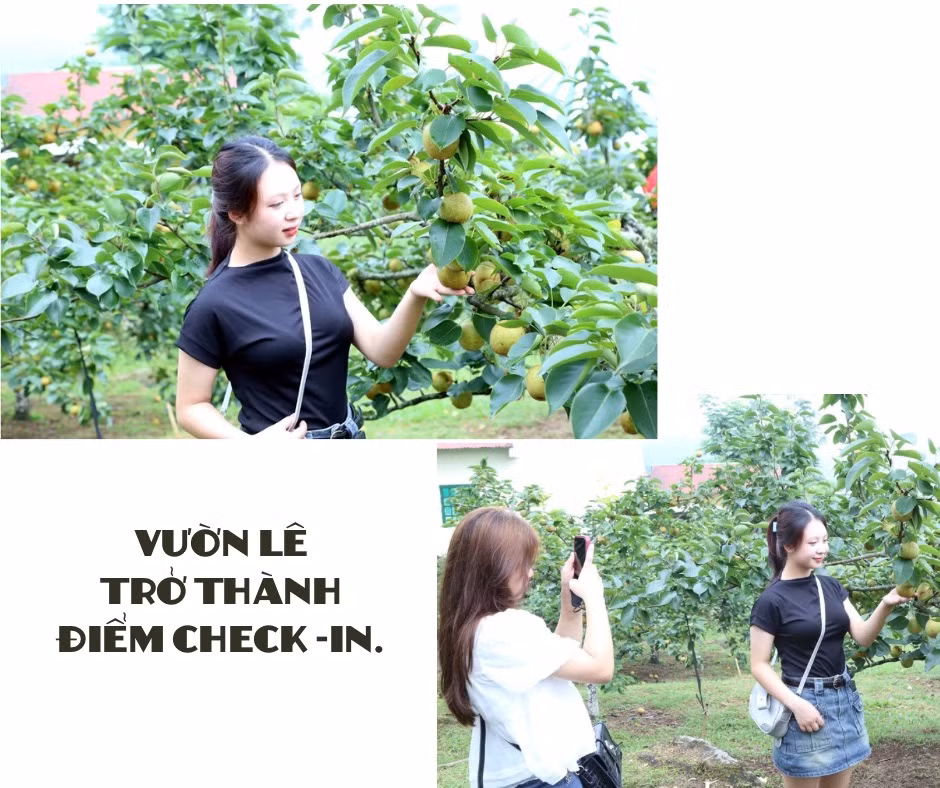 Lên Kin Chu Phìn - 9.jpeg