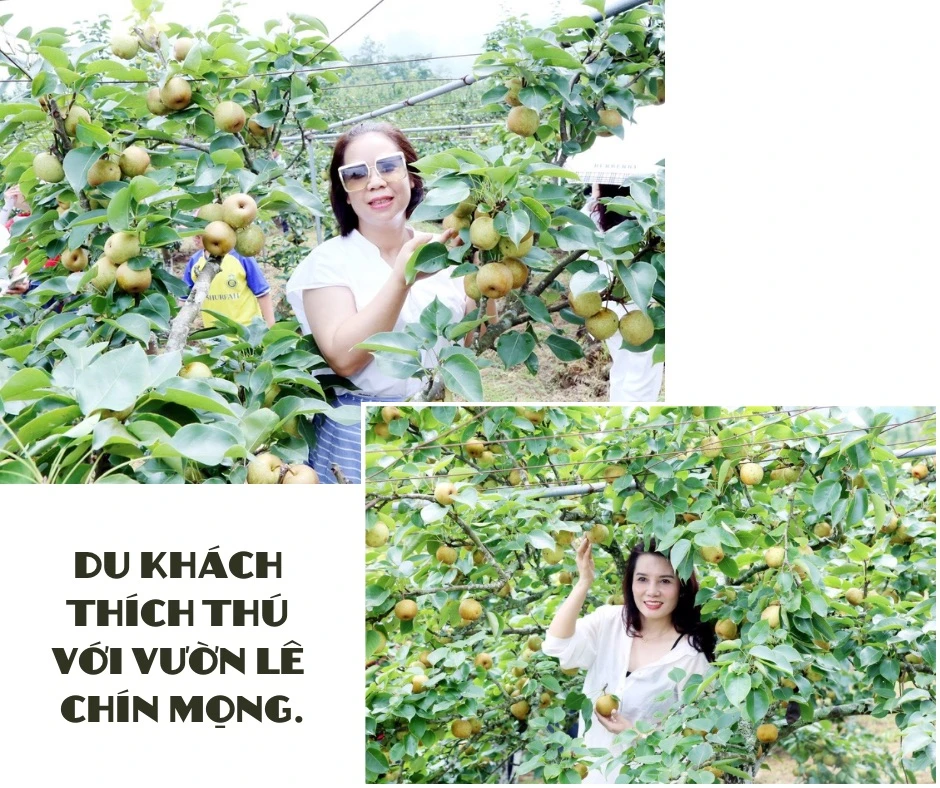 Lên Kin Chu Phìn - 4.jpeg