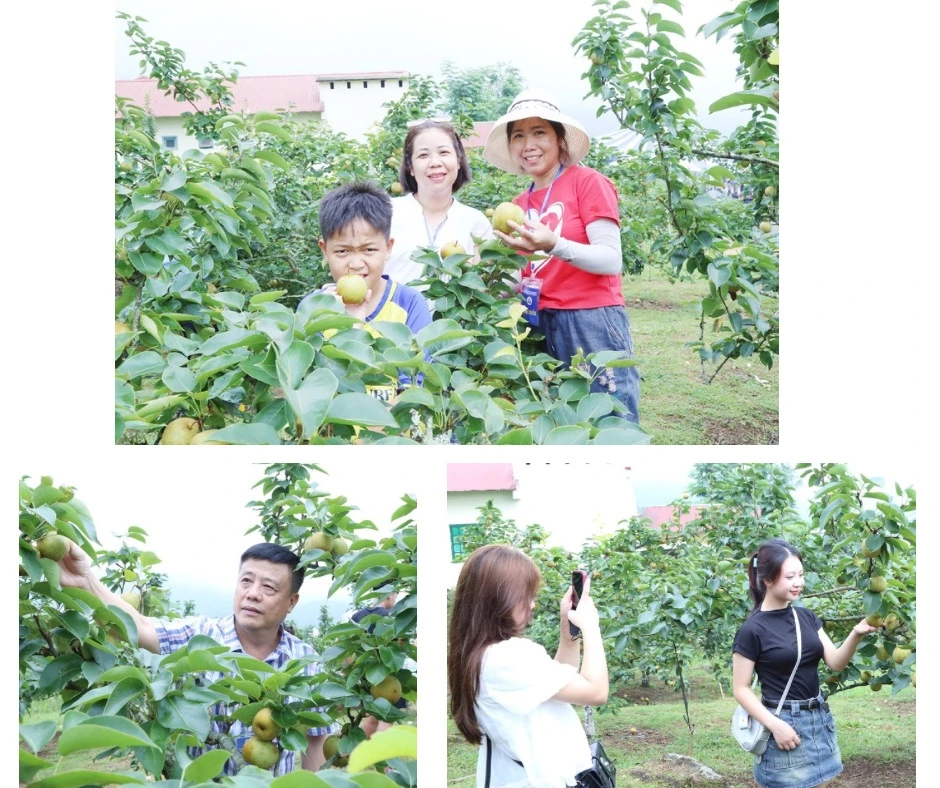 Lên Kin Chu Phìn - 5.jpeg