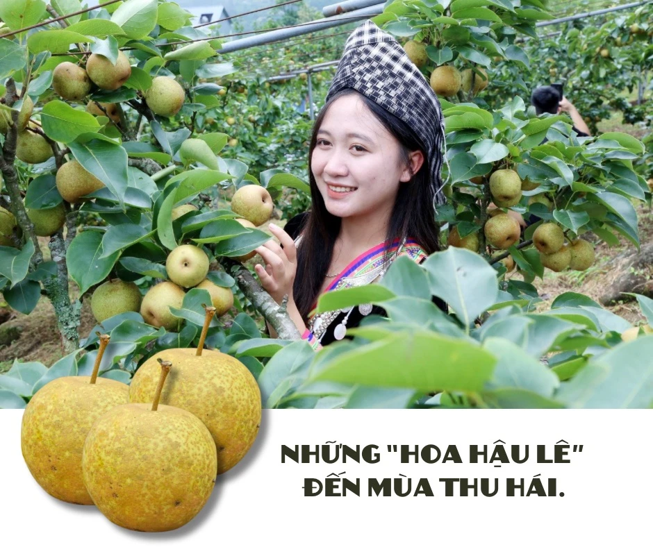 Lên Kin Chu Phìn - 7.jpeg