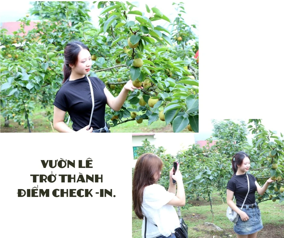 Lên Kin Chu Phìn - 9.jpeg