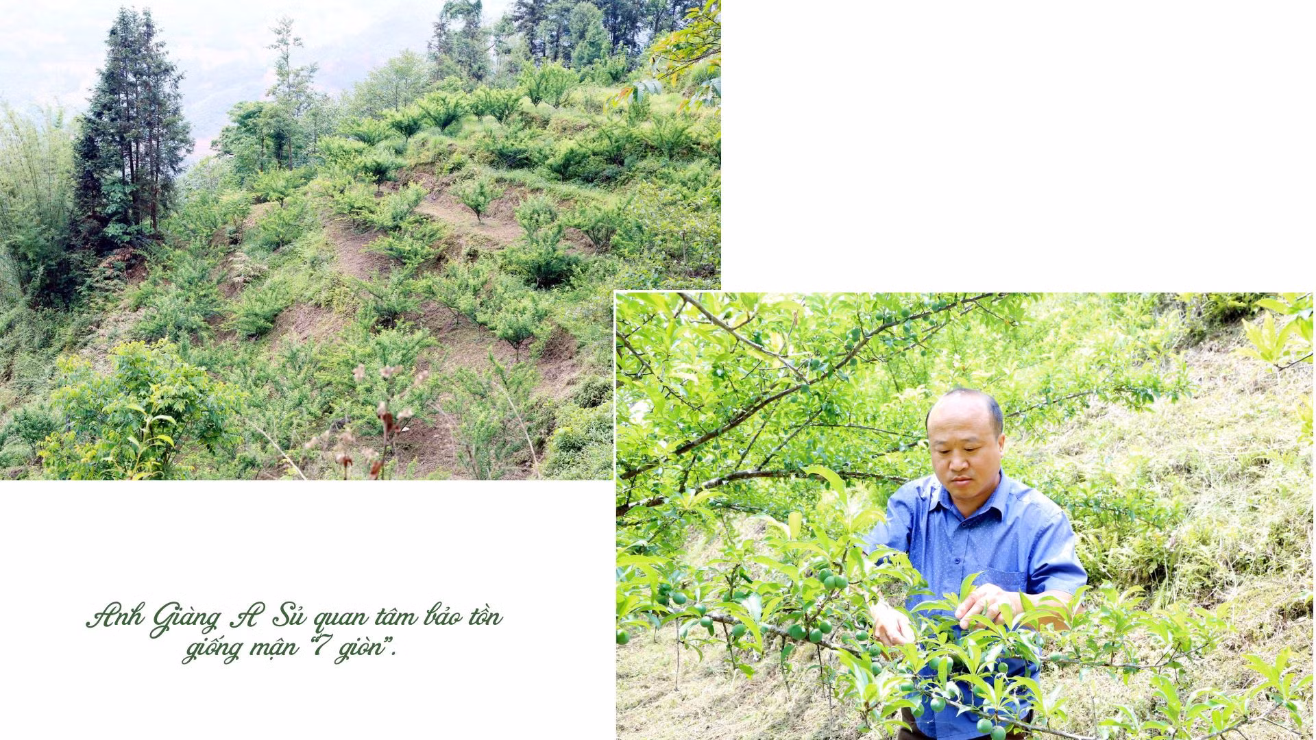 Tiêu đề.zip - 6.jpeg