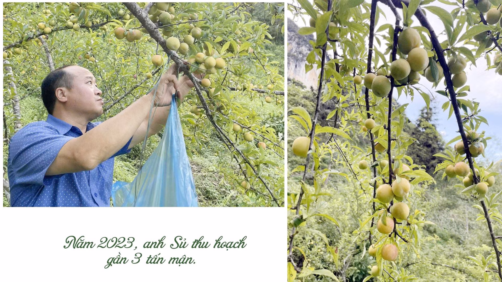 Tiêu đề.zip - 9.jpeg