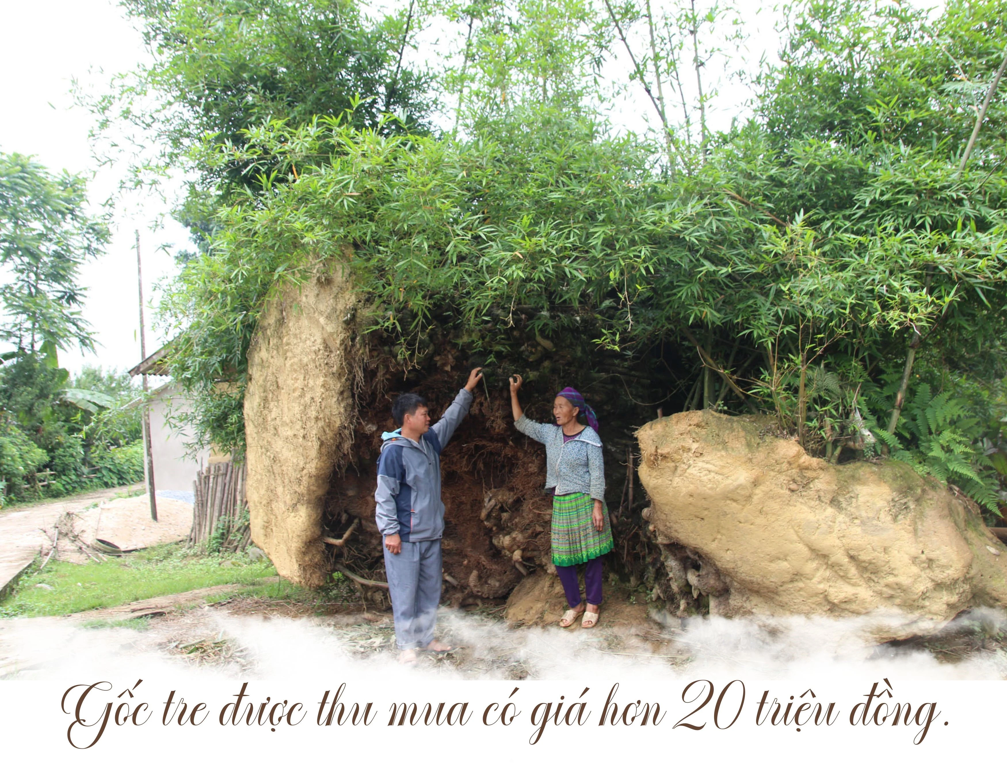 Bản Mông (1920 × 1300 px) (1920 × 1600 px) (1920 × 1080 px).jpg