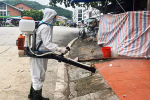 Thành phố Lào Cai: Khử khuẩn môi trường, phòng bệnh sau bão lũ