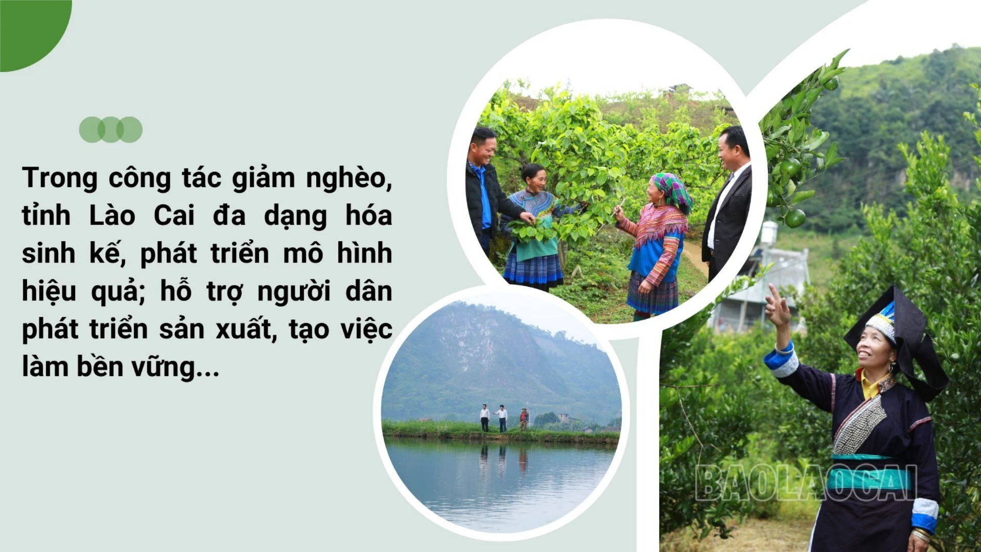 Green Natural Green House Presentation.jpg