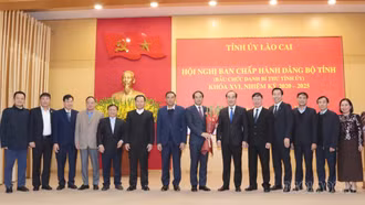 Lào Cai kết thúc hoạt động 7 đảng đoàn, 1 đảng bộ và 3 ban cán sự đảng cấp tỉnh