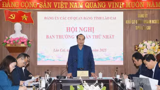 Hội nghị Ban Thường vụ Đảng ủy Các cơ quan Đảng tỉnh lần thứ Nhất