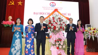 Đảng bộ Các cơ quan Đảng tỉnh: Chỉ đạo chuẩn bị tốt đại hội cơ sở