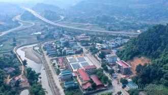 [Ảnh] Sức vươn Cam Đường