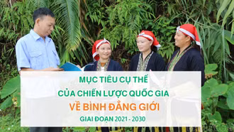 Mục tiêu cụ thể của Chiến lược quốc gia về bình đẳng giới giai đoạn 2021 - 2030