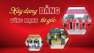 Xây dựng Đảng vững mạnh từ gốc