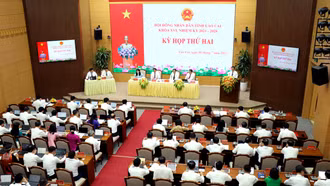 Giao tạm thời 1.561 chỉ tiêu hợp đồng lao động theo Nghị định số 111 của Chính phủ