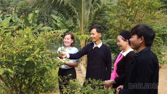 Xây dựng môi trường an toàn cho phụ nữ, trẻ em vùng đồng bào dân tộc thiểu số