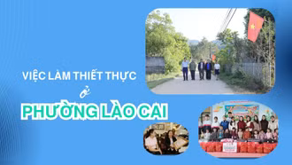 Việc làm thiết thực ở phường Lào Cai