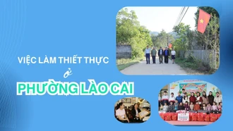 Việc làm thiết thực ở phường Lào Cai