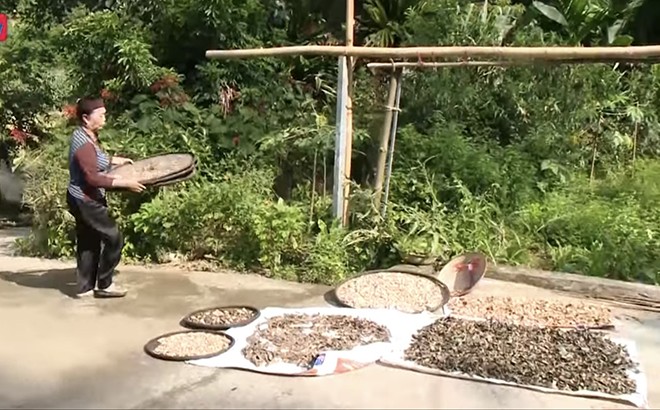 Bà Hà Thị Thoa góp phần giữ gìn bản sắc văn hóa dân tộc ảnh 1 Bà Hà Thị Thoa góp phần giữ gìn bản sắc văn hóa dân tộc ảnh 1