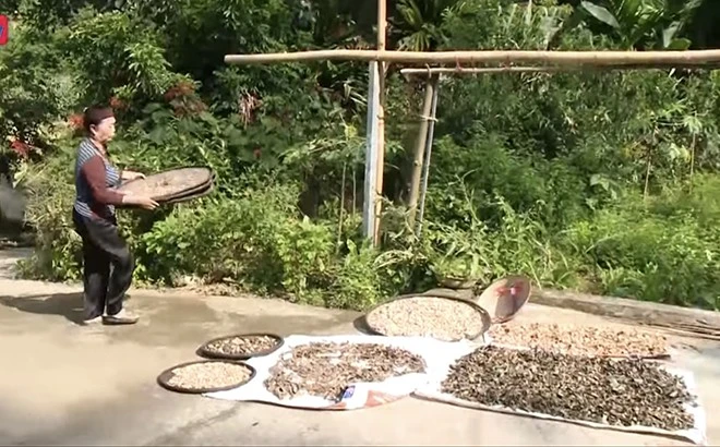 Bà Hà Thị Thoa góp phần giữ gìn bản sắc văn hóa dân tộc ảnh 1
