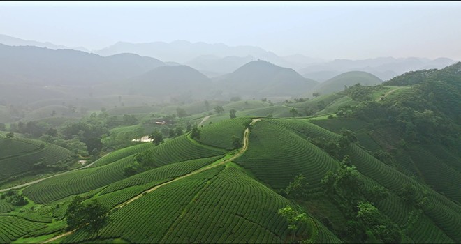 “Chạm vào hạnh phúc”: Điểm sáng điện ảnh mang dấu ấn Bắc Bộ ra mắt nhân dịp lễ Quốc khánh 2/9 ảnh 3 “Chạm vào hạnh phúc”: Điểm sáng điện ảnh mang dấu ấn Bắc Bộ ra mắt nhân dịp lễ Quốc khánh 2/9 ảnh 3