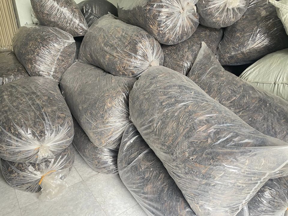 Trung Quốc tìm mua, giun đất sấy khô đắt nhất chợ mạng 1,5 triệu/kg ảnh 1 Trung Quốc tìm mua, giun đất sấy khô đắt nhất chợ mạng 1,5 triệu/kg ảnh 1