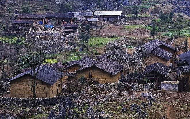 Khi trái tim đủ lớn...! ảnh 1