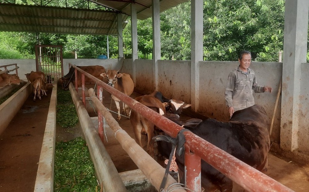 Nông nghiệp - điểm sáng kinh tế Yên Bái ảnh 1