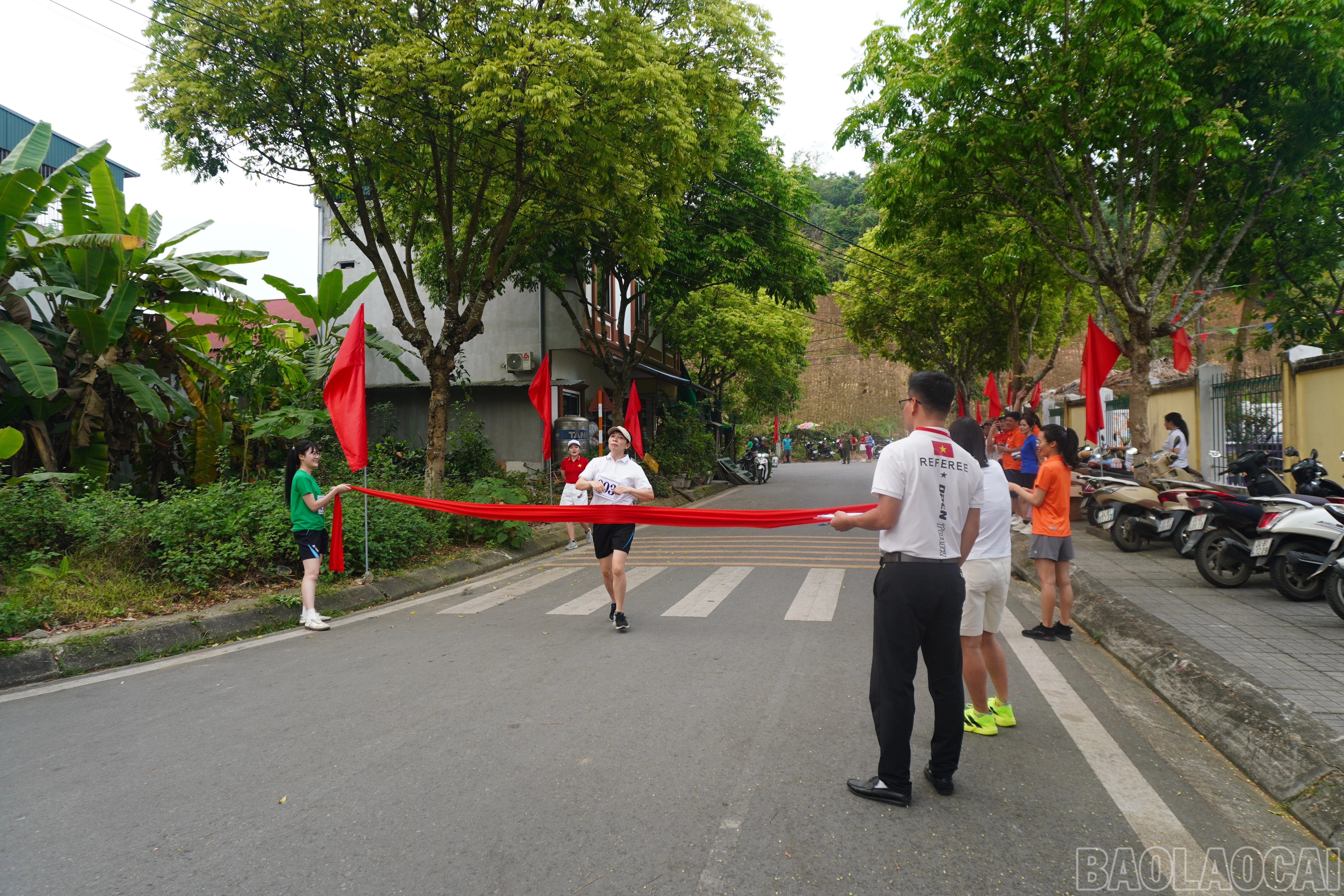 baolaocai-br_dsc01541.jpg