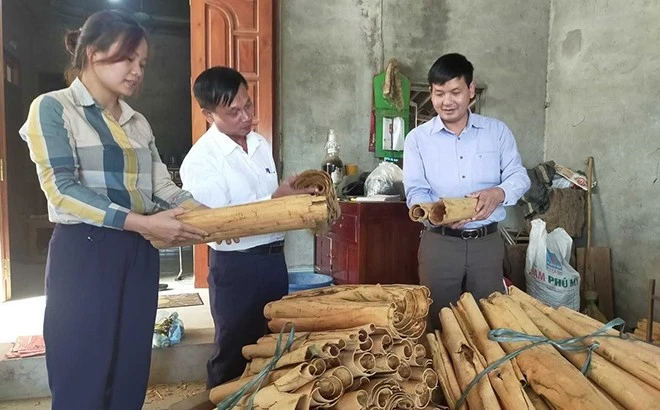 Diện mạo mới ở Quy Mông ảnh 1