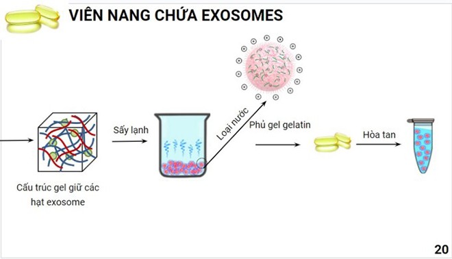 Thuốc điều trị đột quỵ thắng giải Sáng tạo tế bào gốc ảnh 1 Thuốc điều trị đột quỵ thắng giải Sáng tạo tế bào gốc ảnh 1