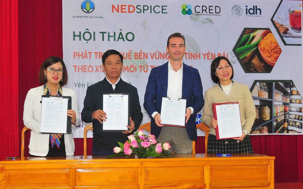 Yên Bái: Hội thảo phát triển quế bền vững theo xu thế mới từ thị trường ảnh 1 Yên Bái: Hội thảo phát triển quế bền vững theo xu thế mới từ thị trường ảnh 1