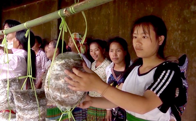 Dấu ấn giảm nghèo bền vững ở huyện vùng cao Mù Cang Chải ảnh 3