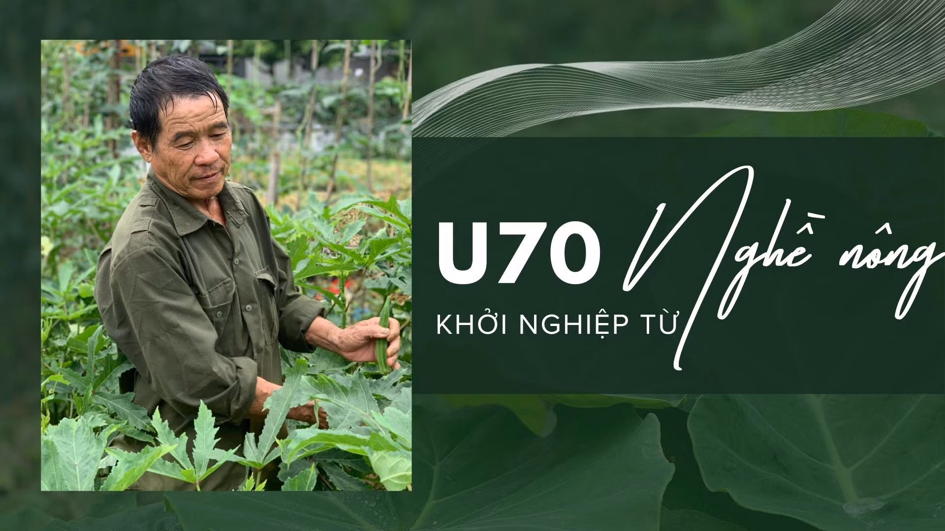 U70 khởi nghiệp từ nghề nông