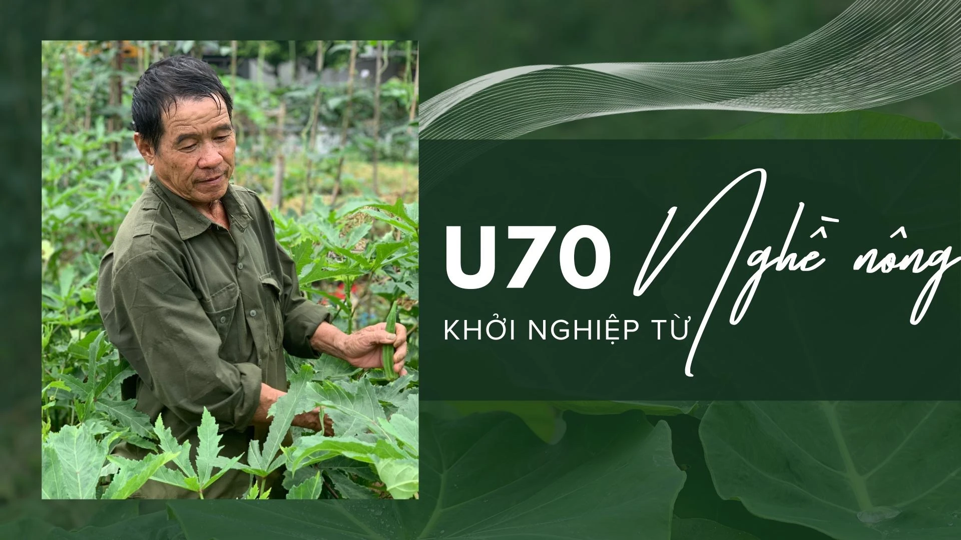 U70 khởi nghiệp từ nghề nông