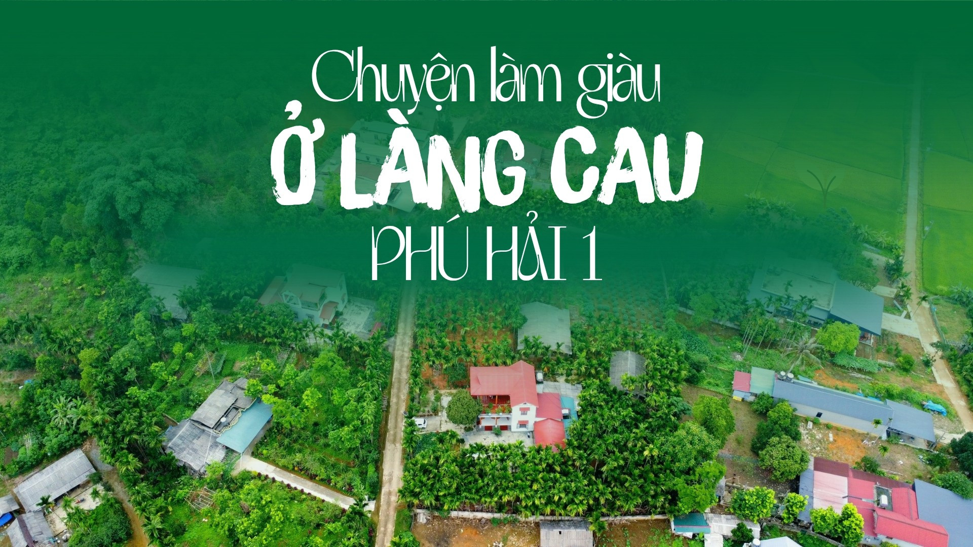 Chuyện làm giàu ở làng cau Phú Hải 1