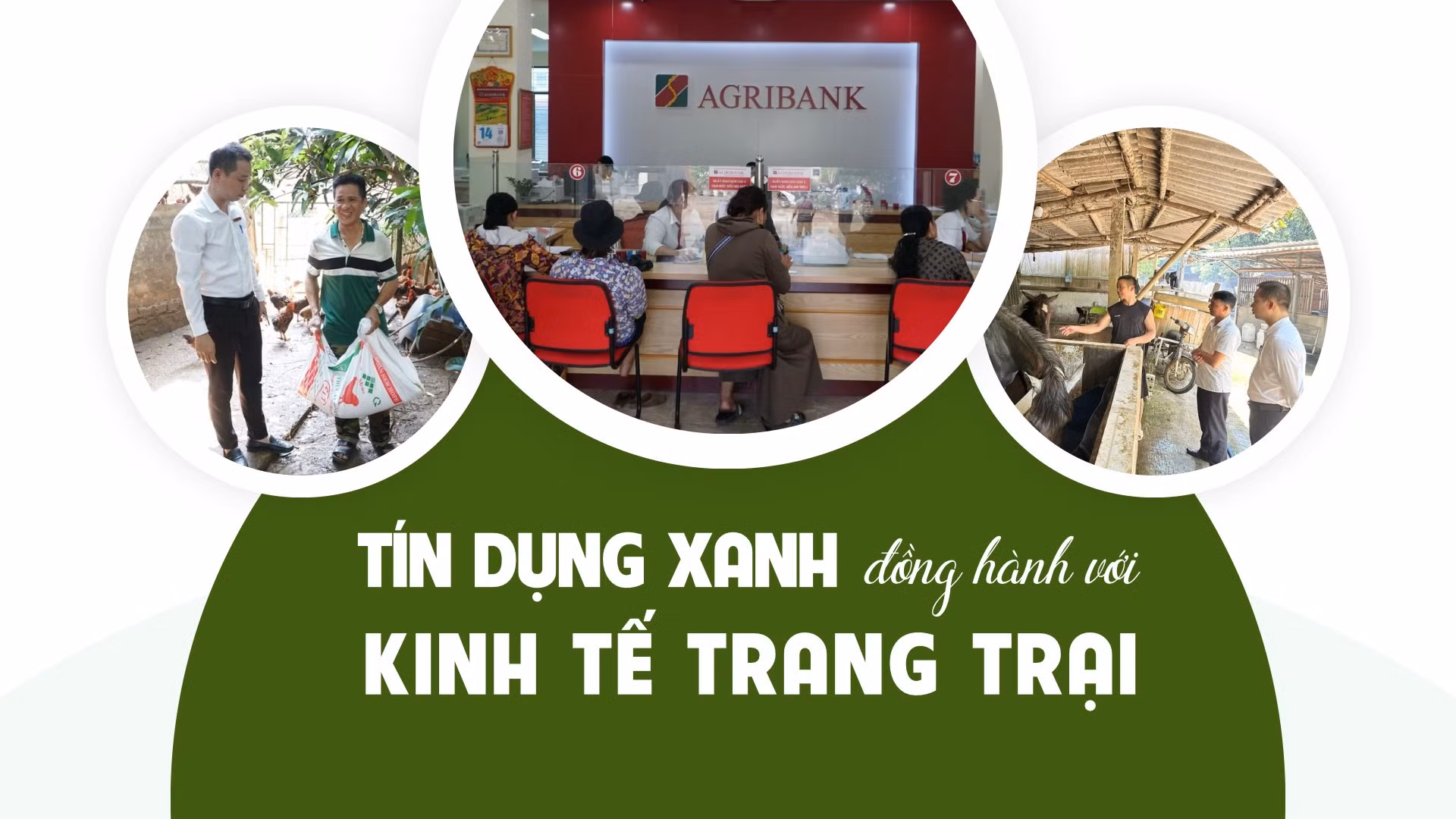 "Tín dụng xanh" đồng hành với kinh tế trang trại