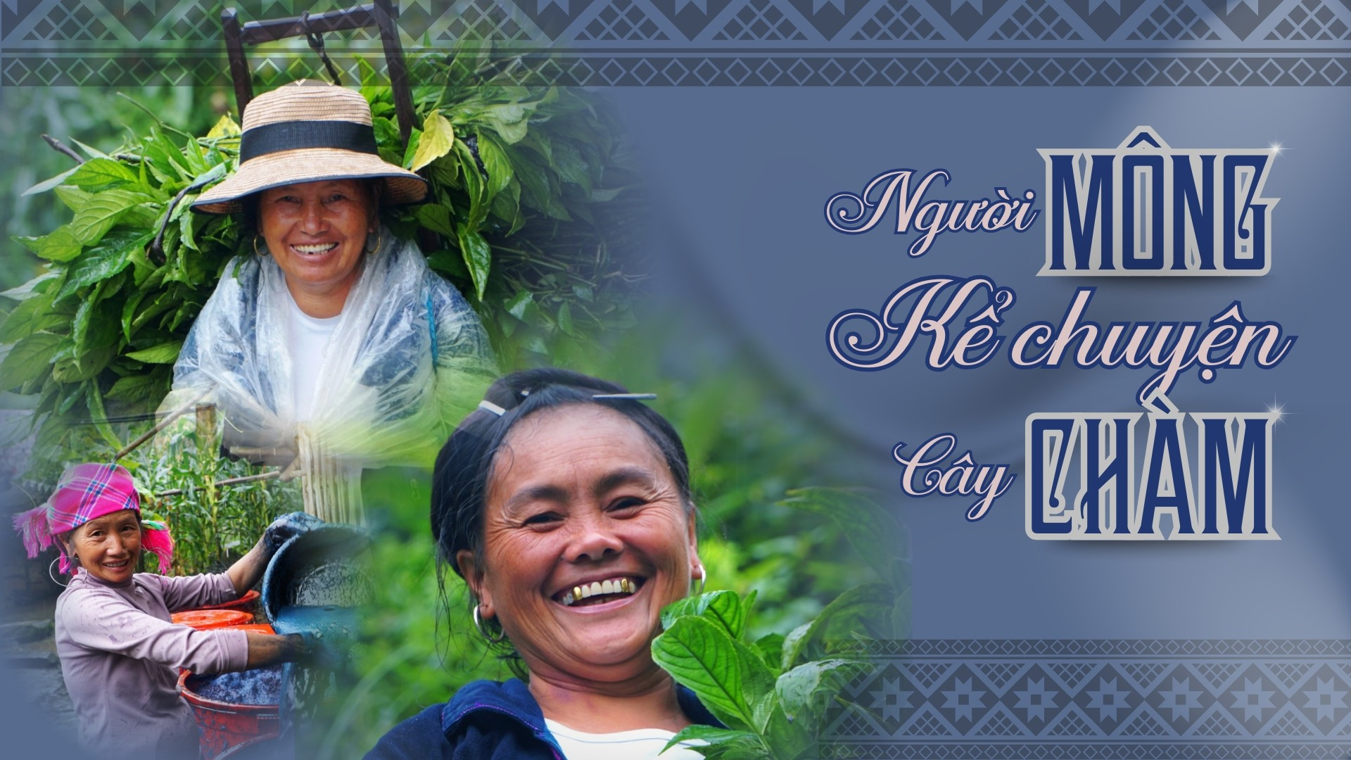 Người Mông kể chuyện cây chàm