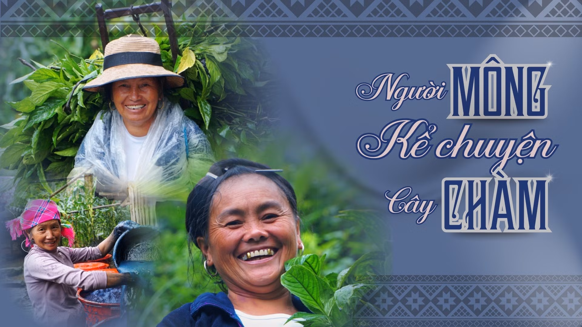 Người Mông kể chuyện cây chàm