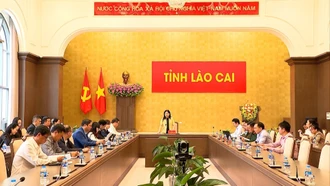 Rà soát tiến độ triển khai tổ chức Festival sông Hồng năm 2025 