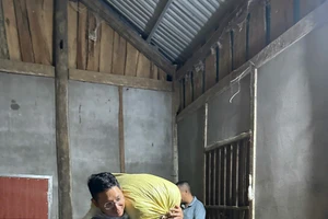Tuổi trẻ Lào Cai xung kích, tình nguyện hỗ trợ Nhân dân vùng lũ