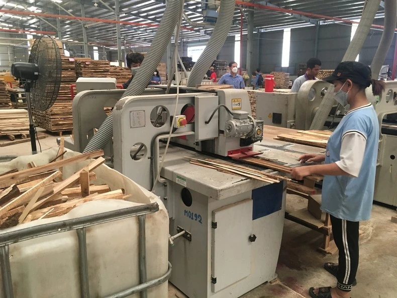 Đầu tư thiết bị để phát triển công nghiệp chế biến gỗ hiện đại.