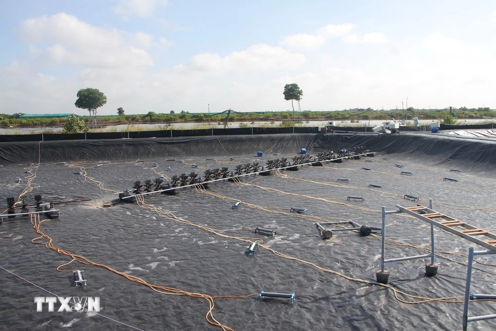 Mô hình nuôi tôm công nghệ cao của khu phức hợp ngành tôm công nghệ cao Growmax Bạc Liêu.