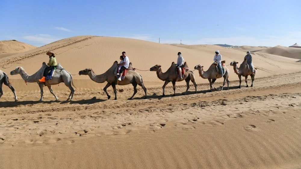 Các hoạt động vui chơi giả trí trên sa mạc Vọng Âm vô cùng đa dạng và phong phú.