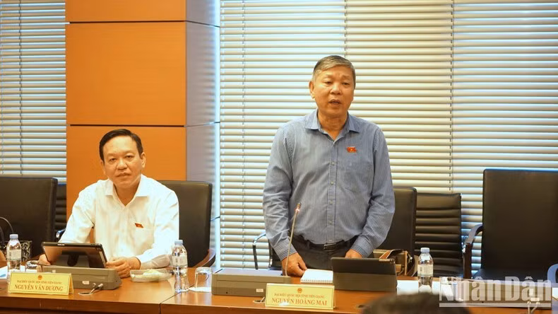 Đại biểu Nguyễn Hoàng Mai (Tiền Giang) phát biểu.