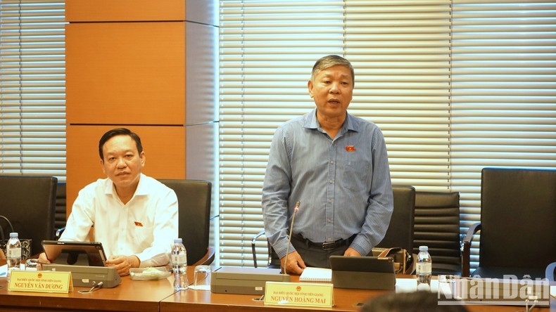 Đại biểu Nguyễn Hoàng Mai (Tiền Giang) phát biểu. Đại biểu Nguyễn Hoàng Mai (Tiền Giang) phát biểu.