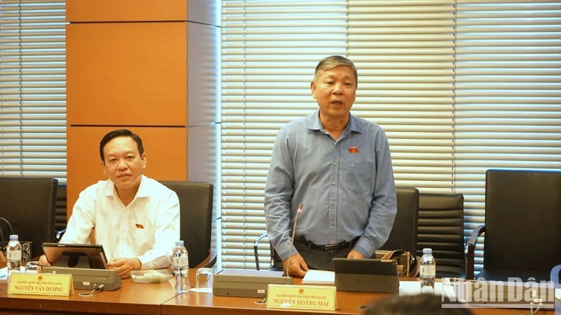 Đại biểu Nguyễn Hoàng Mai (Tiền Giang) phát biểu.