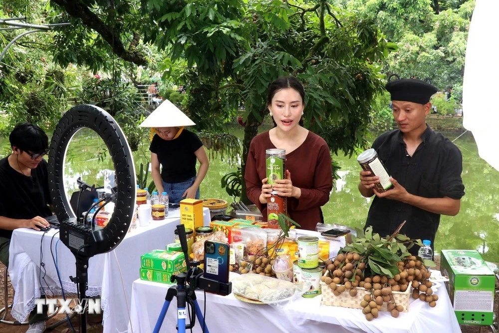 Các nhà sáng tạo nội dung giúp bà con nông dân tiêu nhãn lồng và nông sản OCOP trên TikTok.